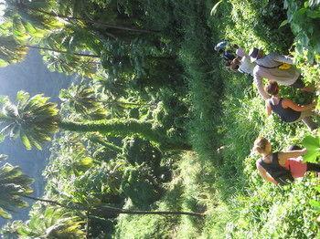 Richmond Vale Diving And Hiking Center - Hostel Exterior photo