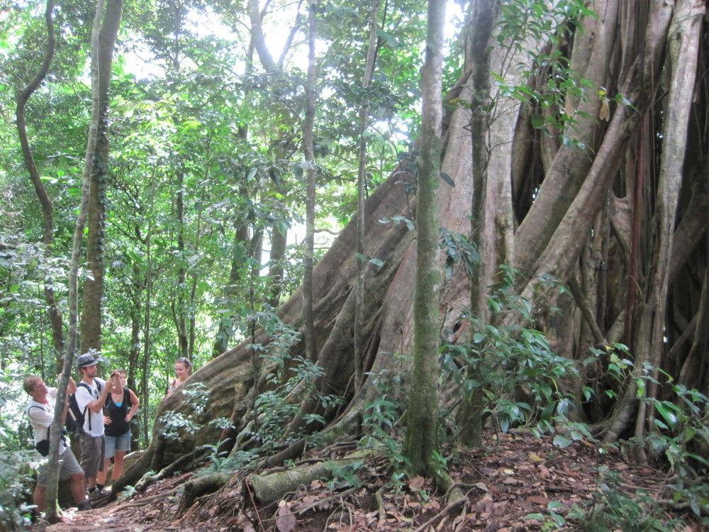 Richmond Vale Diving And Hiking Center - Hostel Exterior photo