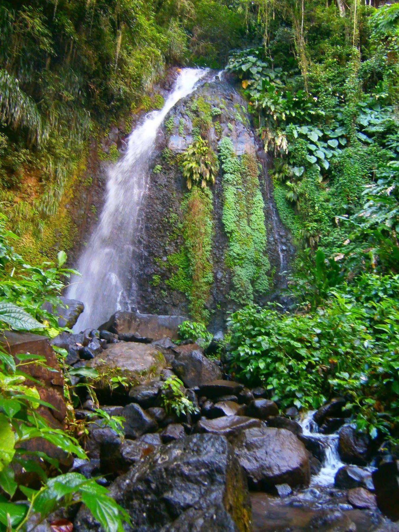 Richmond Vale Diving And Hiking Center - Hostel Exterior photo